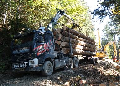 Chauffeur/euse Grumier