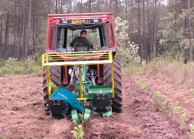 Opérateur/trice de sylviculture-reboisement